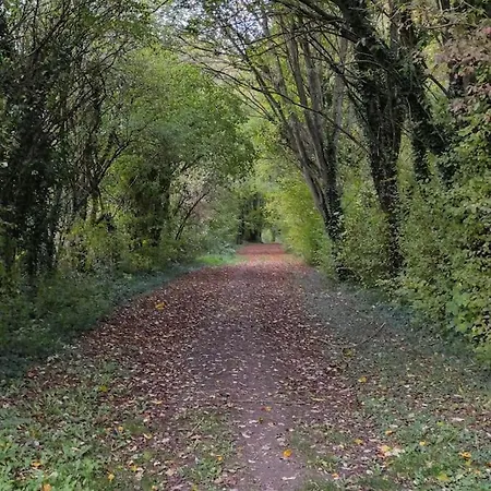 Au Moulin Des Pres - 15 Couchages Au Bord De L'eau Casa de Férias *