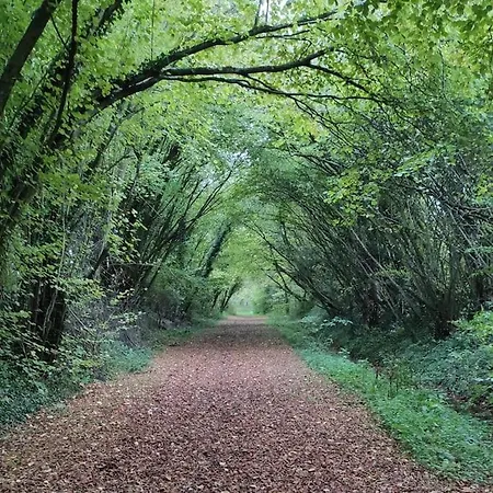 Au Moulin Des Pres - 15 Couchages Au Bord De L'eau Croissy-sur-Celle
