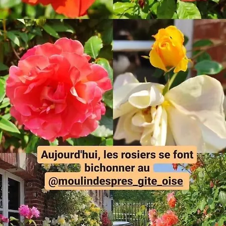 Au Moulin Des Pres - 15 Couchages Au Bord De L'eau * Croissy-sur-Celle