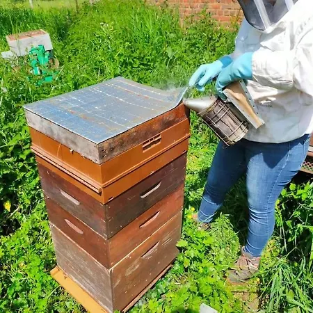 Au Moulin Des Pres - 15 Couchages Au Bord De L'eau Casa de Férias Croissy-sur-Celle