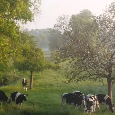 Au Moulin Des Pres - 15 Couchages Au Bord De L'eau Feriehus