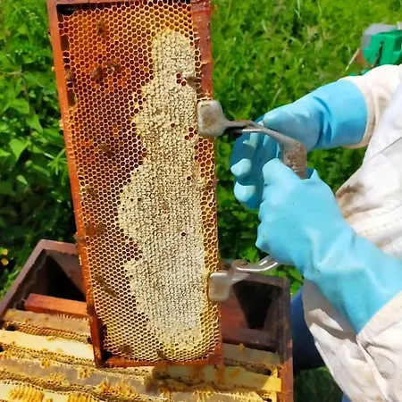 Feriehus Au Moulin Des Pres - 15 Couchages Au Bord De L'eau