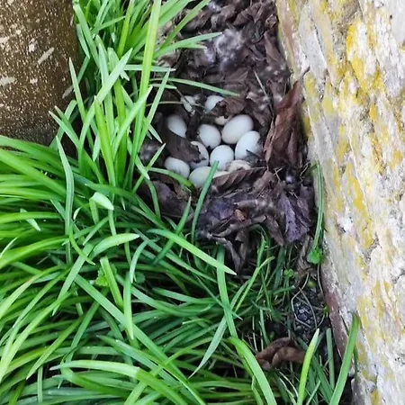 Casa de Férias Au Moulin Des Pres - 15 Couchages Au Bord De L'eau