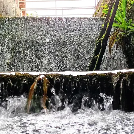 Au Moulin Des Pres - 15 Couchages Au Bord De L'eau Croissy-sur-Celle